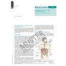 Aufkl&auml;rungsbogen Endo04 &Ouml;GD (Gastroskopie), diagnostisch 1 Pack mit 50 St&uuml;ck