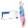 MaiMed® solution100 blue (Nitrilhandschuh), Blau, unsteril, puderfrei, 100 Stück Gr. L